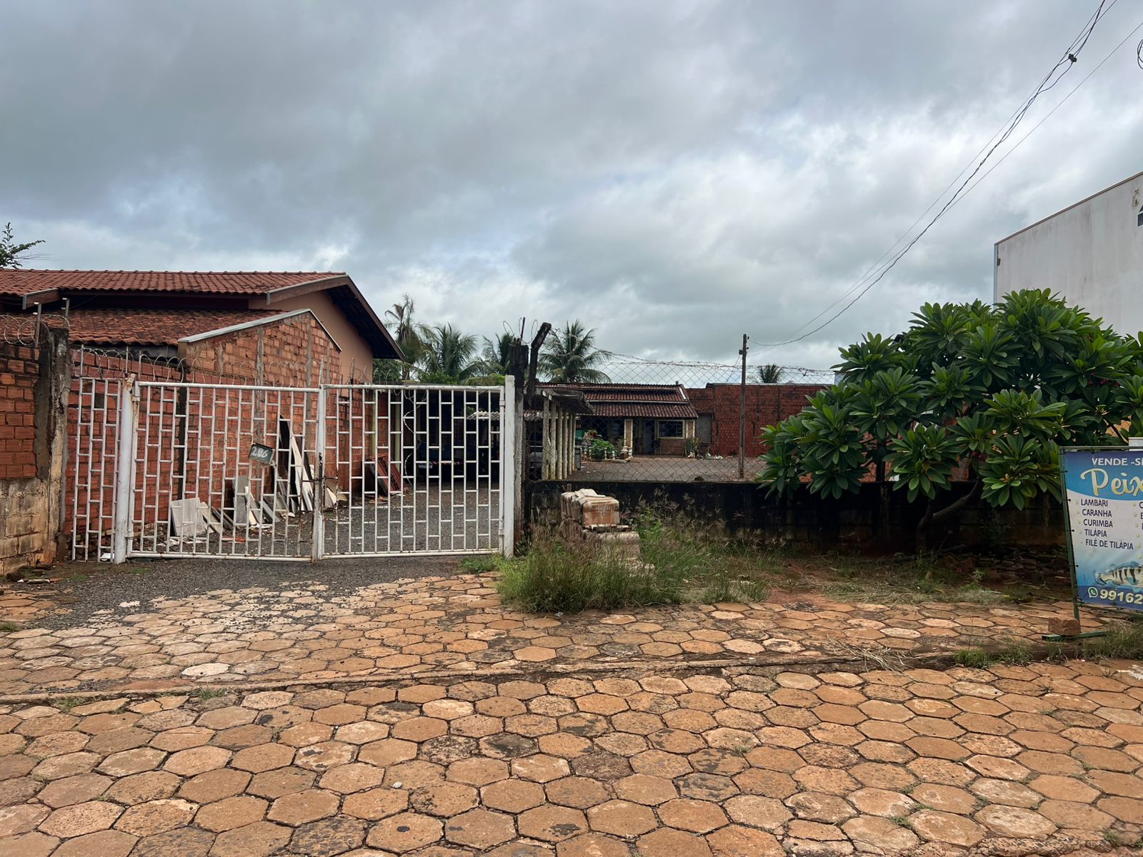 WhatsApp Image 2026-02-13 at 10.32.36 (3)