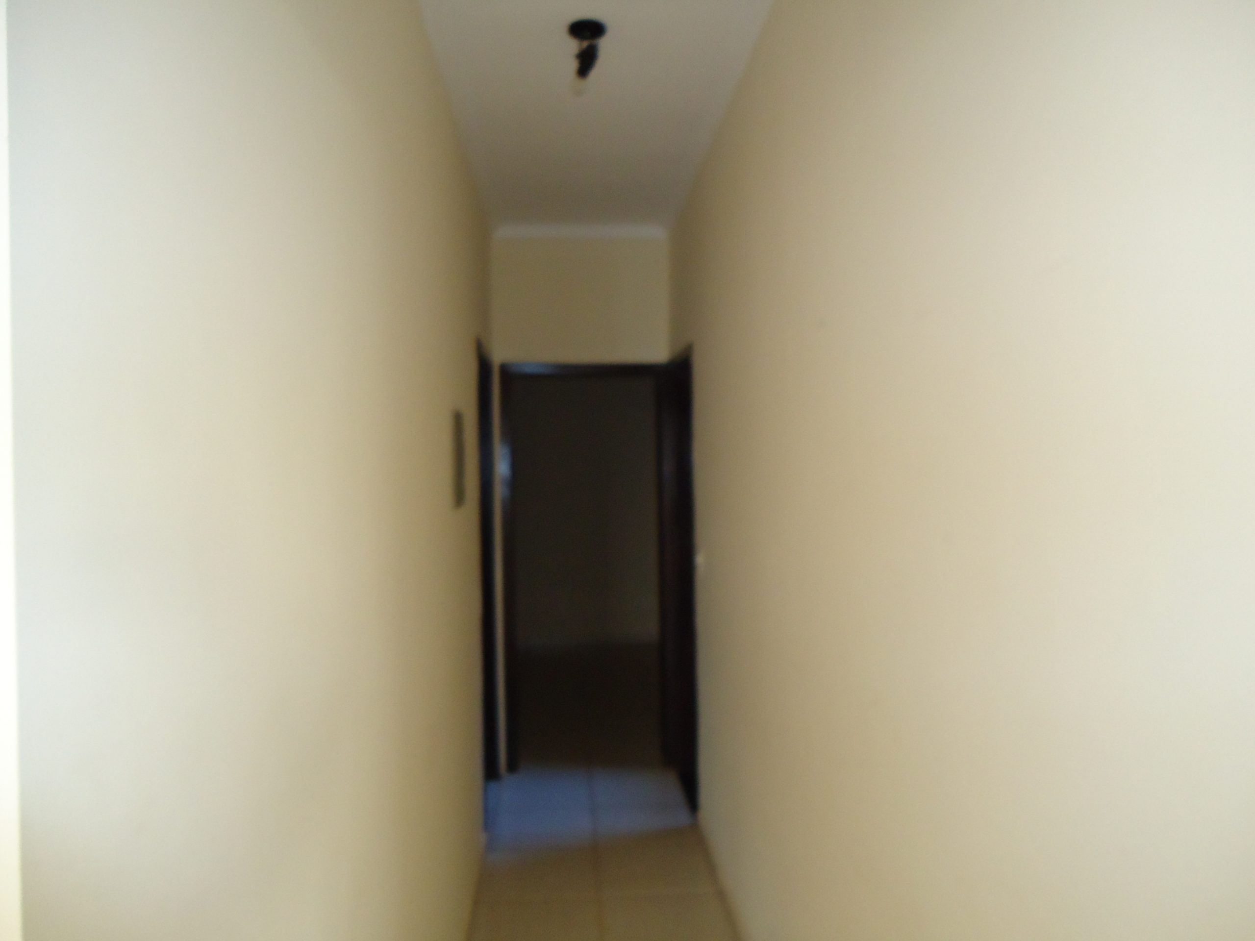 DSC03114