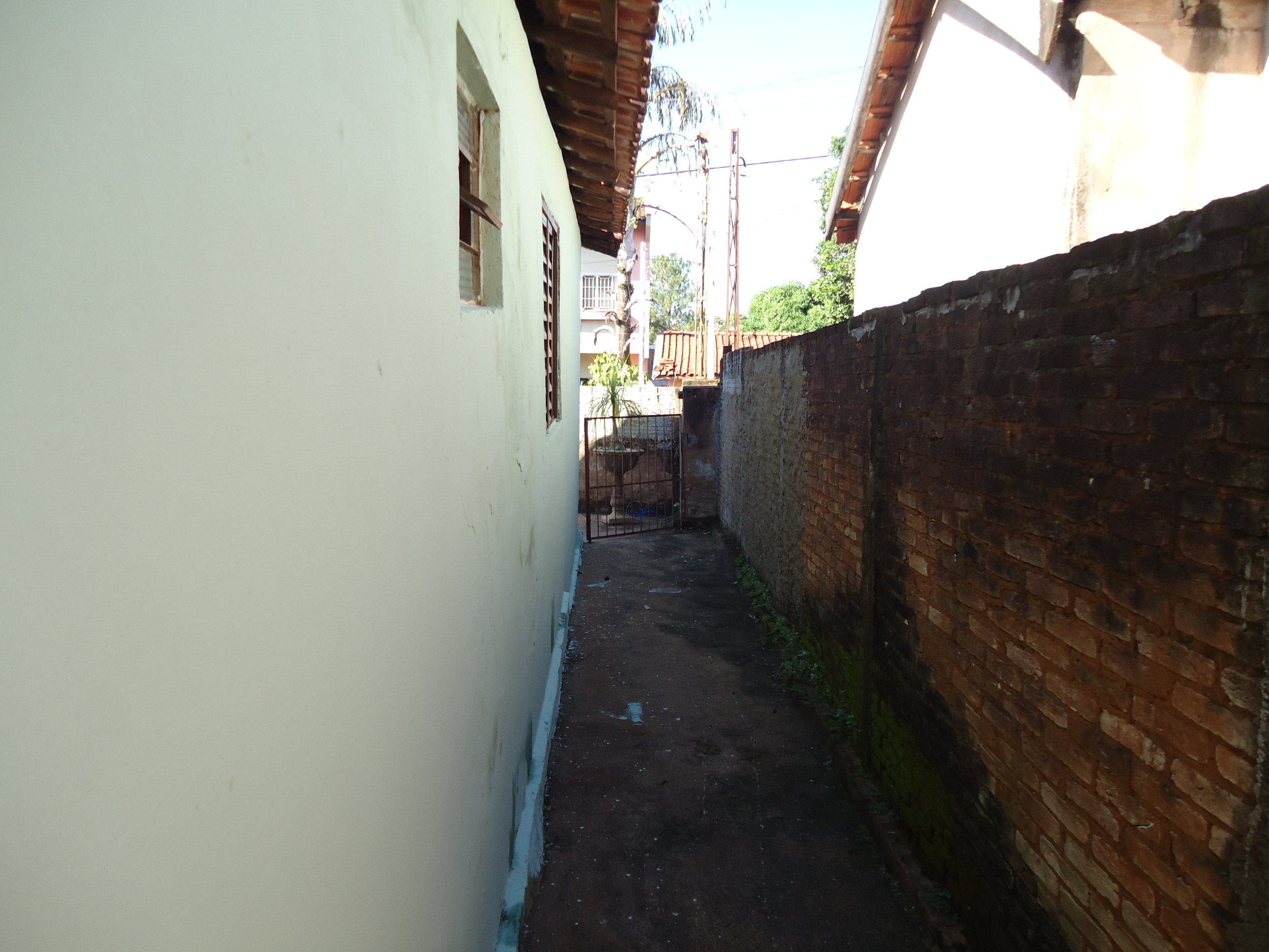 DSC06966