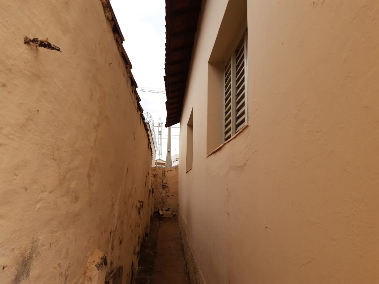 81f06931-f189-44eb-bf67-adb2d5b7fd81