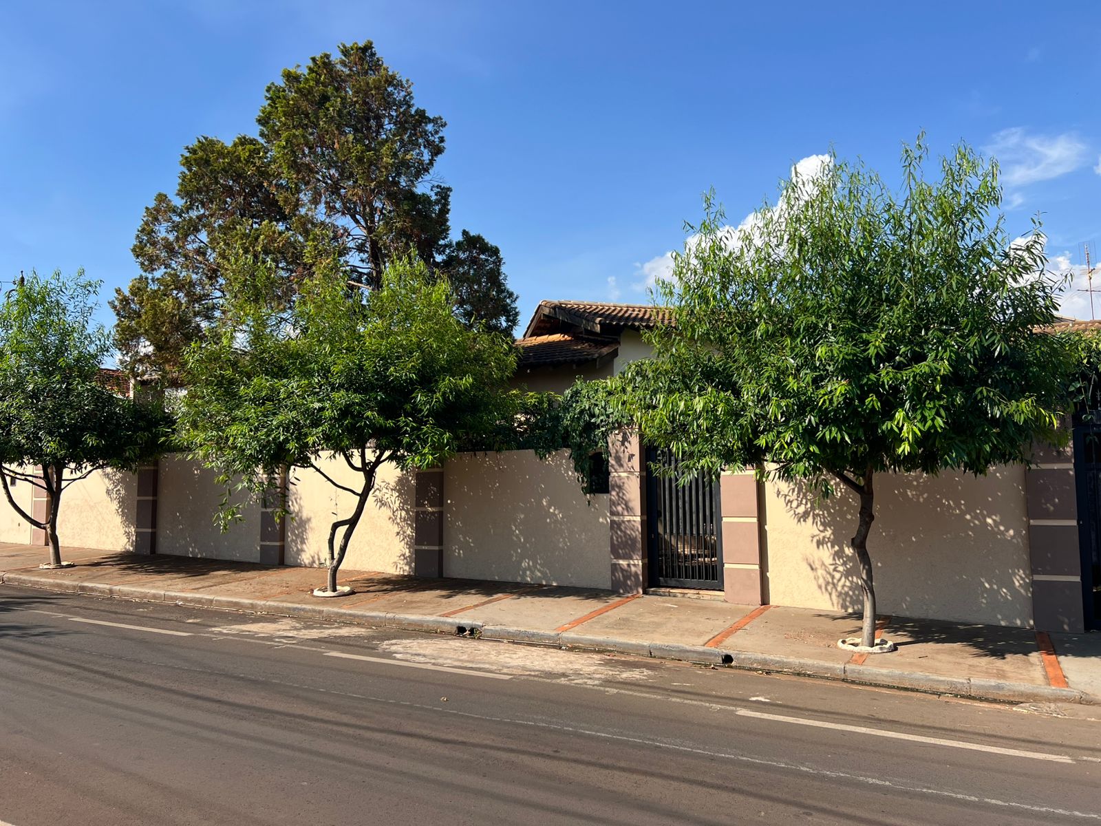 WhatsApp Image 2025-10-16 at 14.45.25 (1)