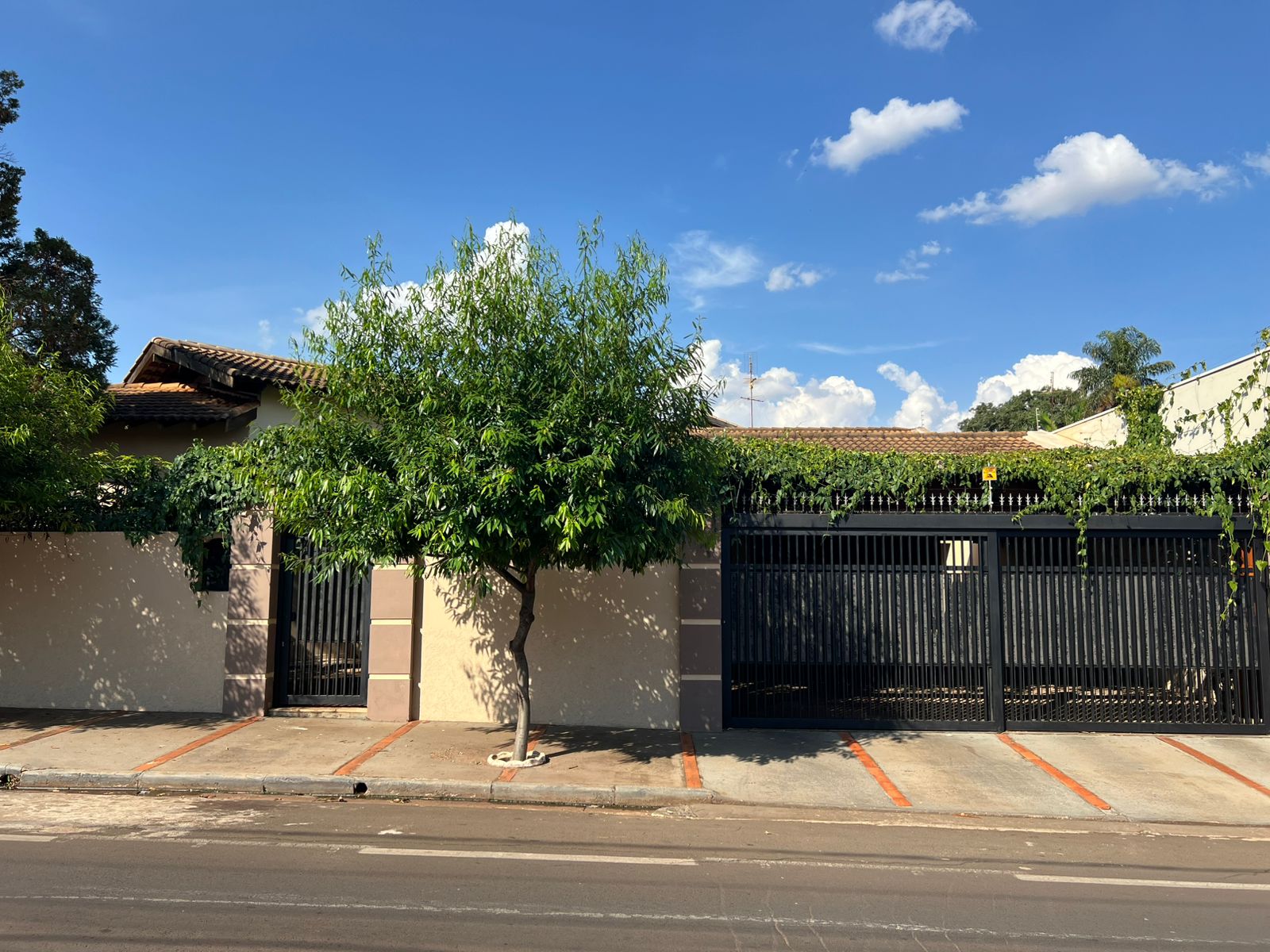 WhatsApp Image 2025-10-16 at 14.45.25