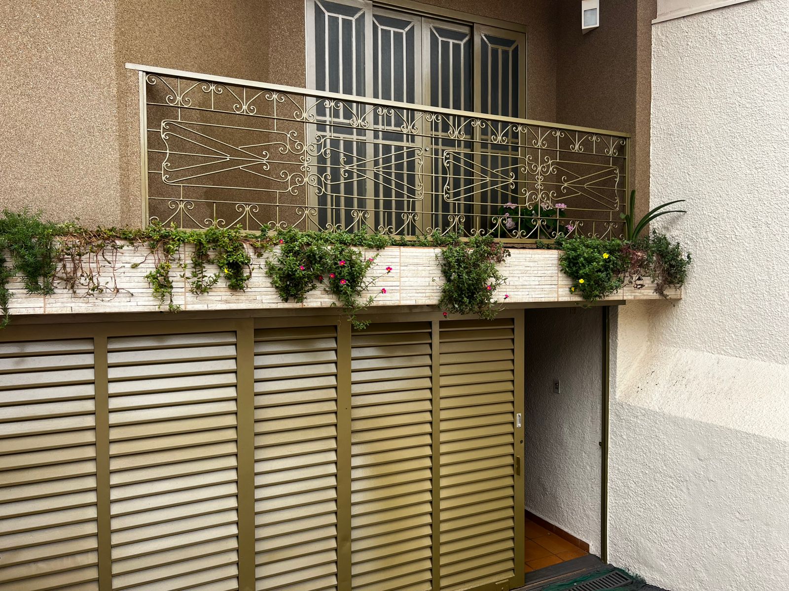 WhatsApp Image 2025-11-14 at 08.27.25