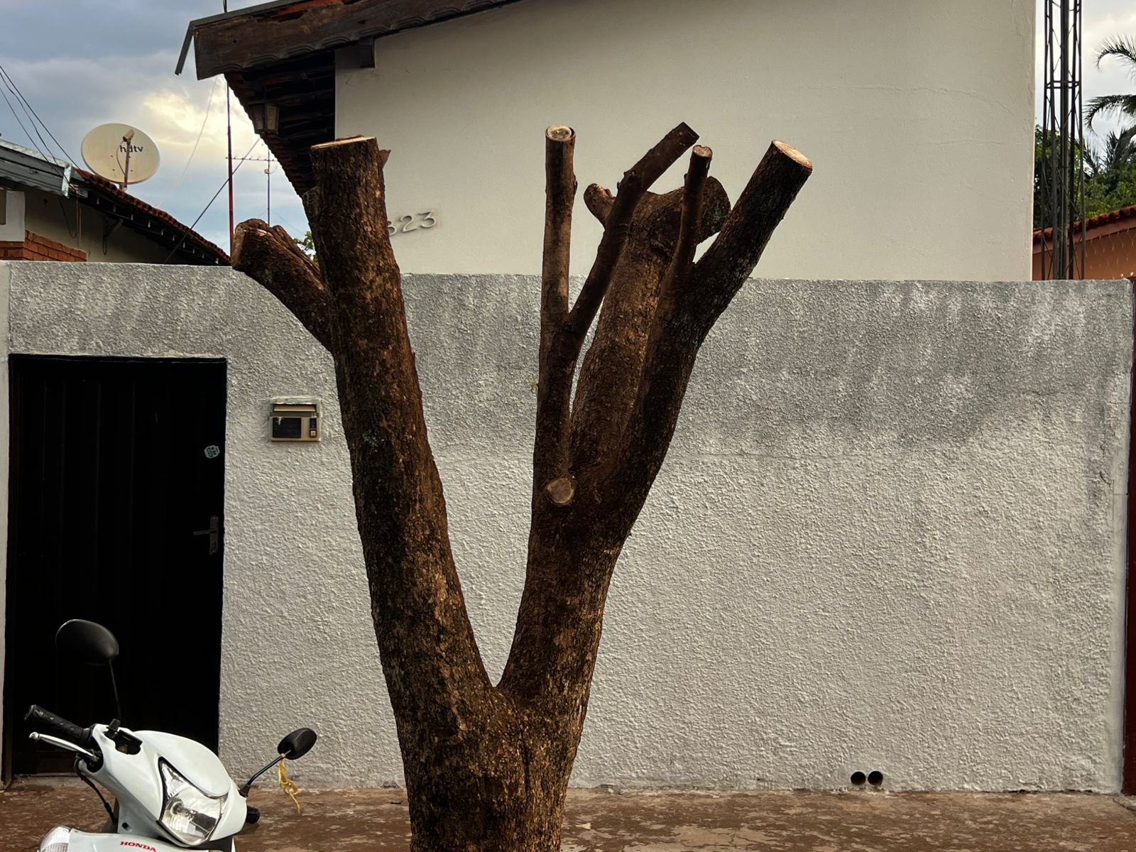 WhatsApp Image 2025-12-08 at 13.42.45 (2)