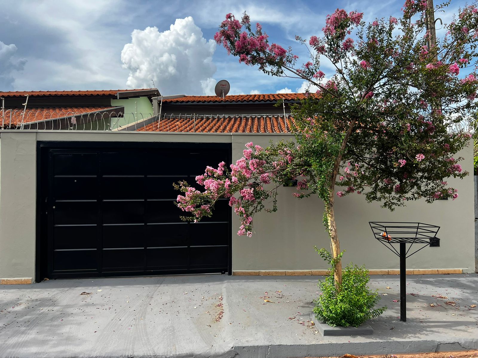 WhatsApp Image 2025-12-17 at 15.19.10