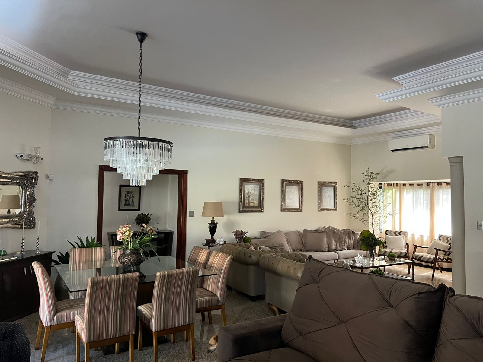 WhatsApp Image 2026-01-24 at 09.42.09 (3)