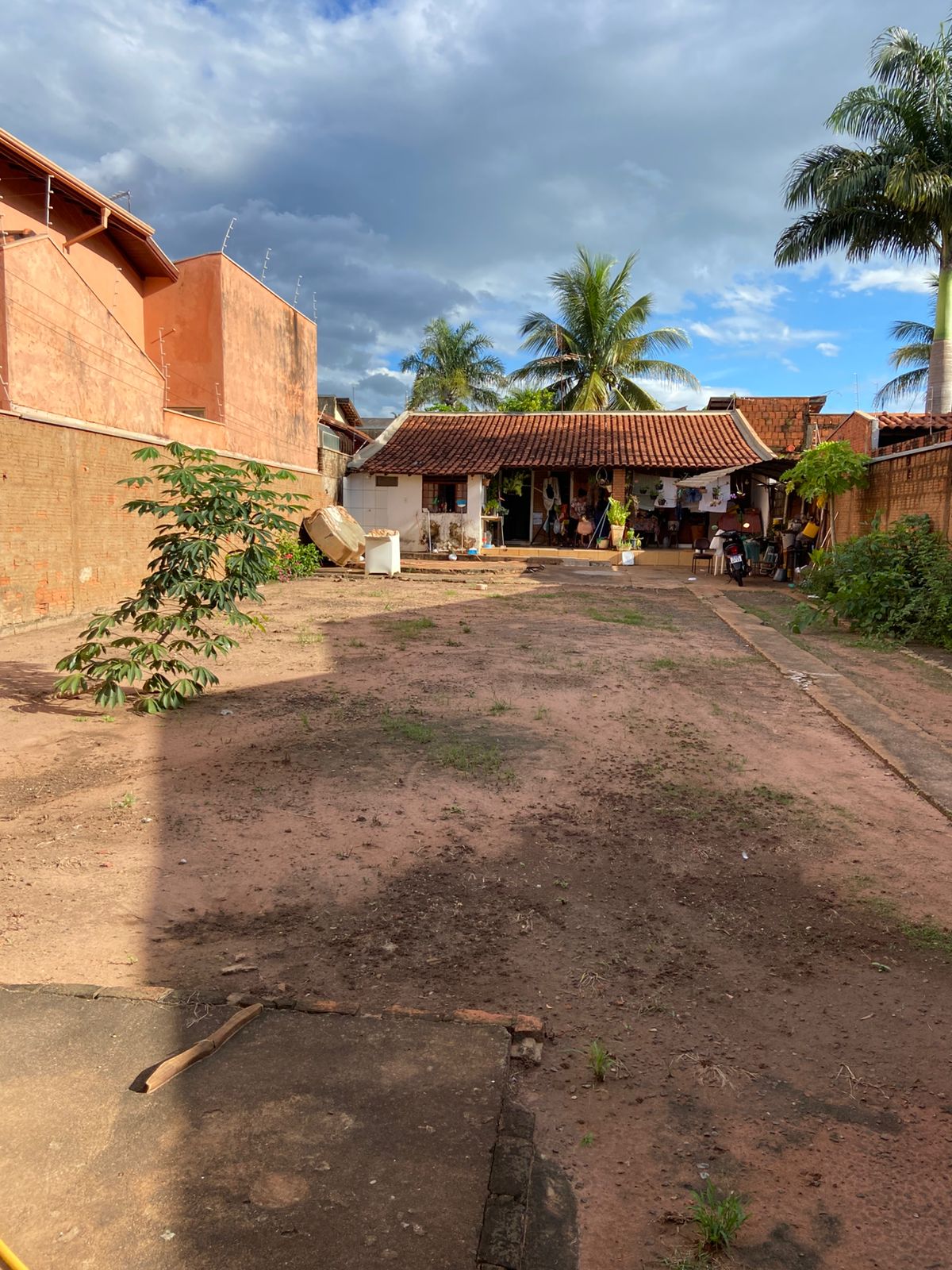 WhatsApp Image 2026-02-13 at 10.08.51