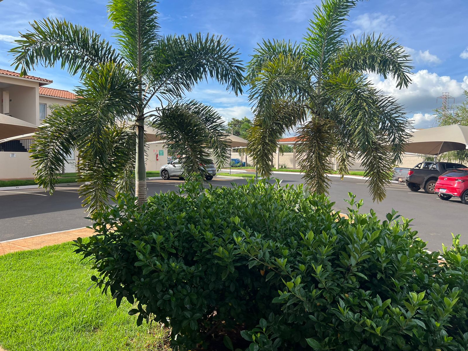 WhatsApp Image 2024-04-18 at 14.35.23