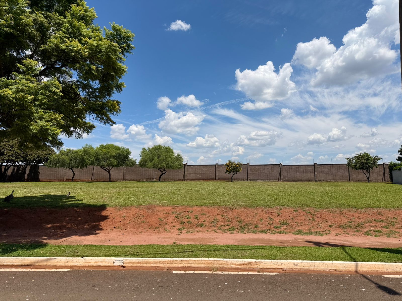 WhatsApp Image 2026-03-07 at 09.48.14 (1)