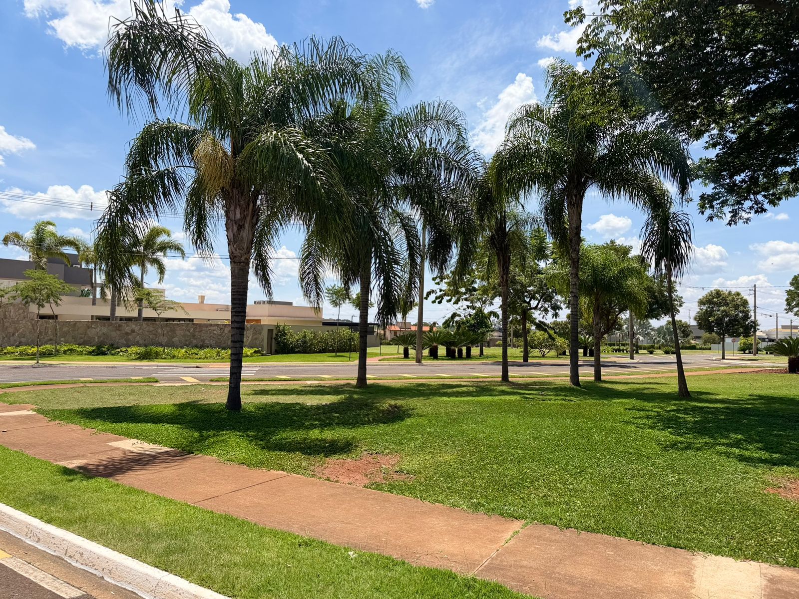 WhatsApp Image 2026-03-07 at 09.48.14