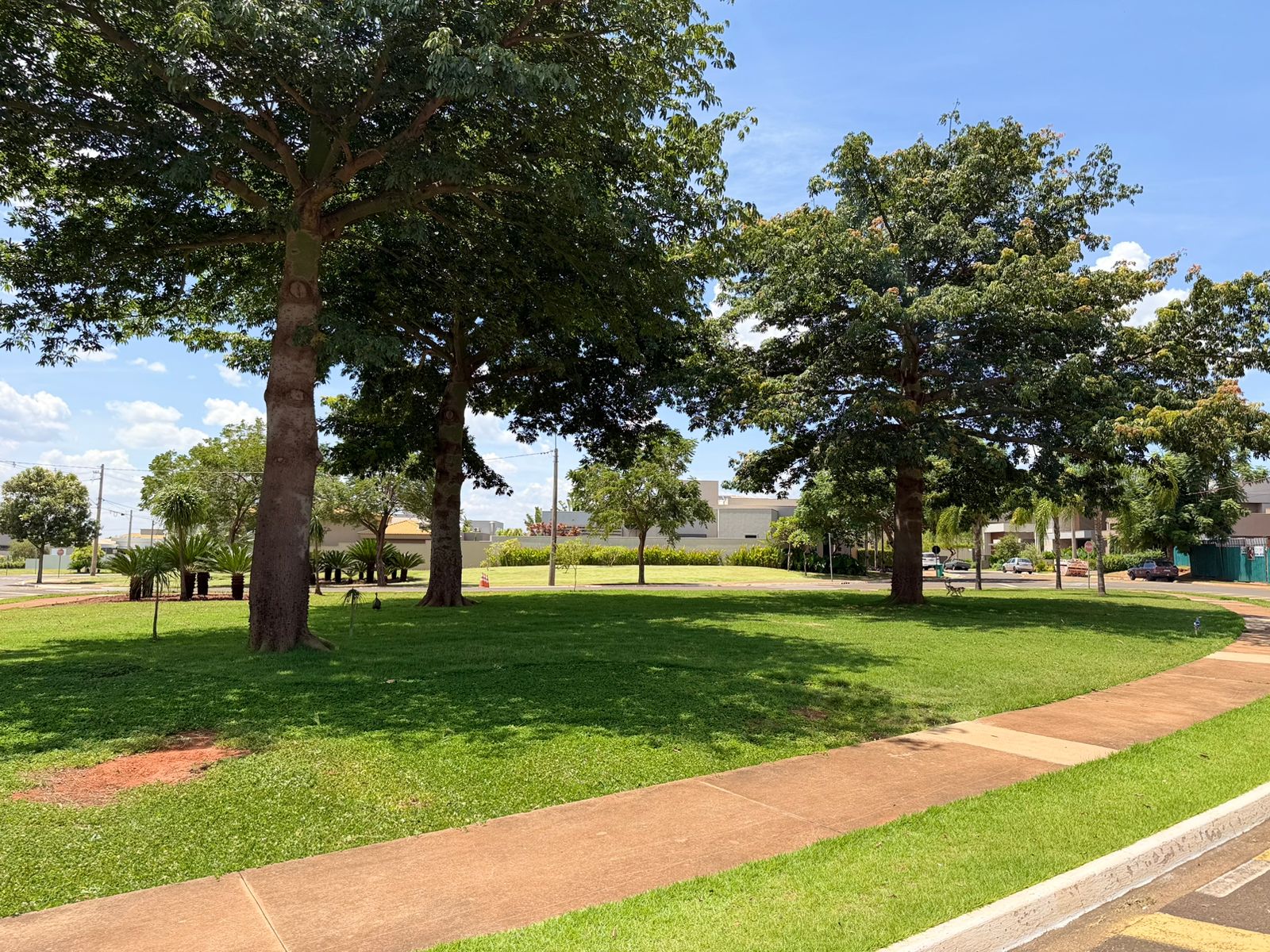 WhatsApp Image 2026-03-07 at 09.48.15